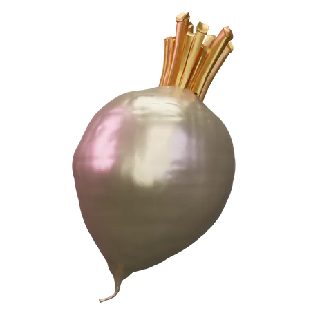 Turnip  3D Icon