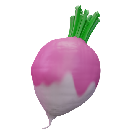 Turnip  3D Icon