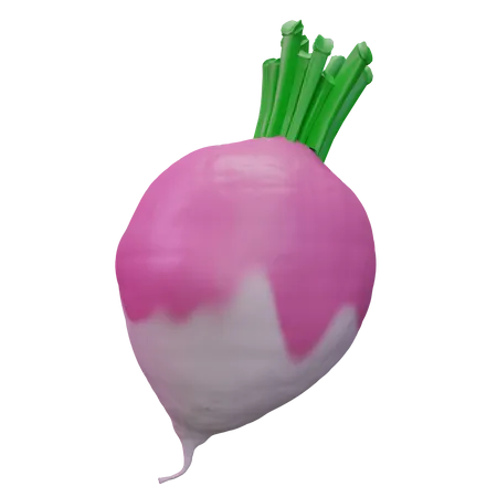 Turnip  3D Icon