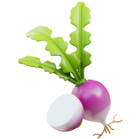 Turnip  3D Icon