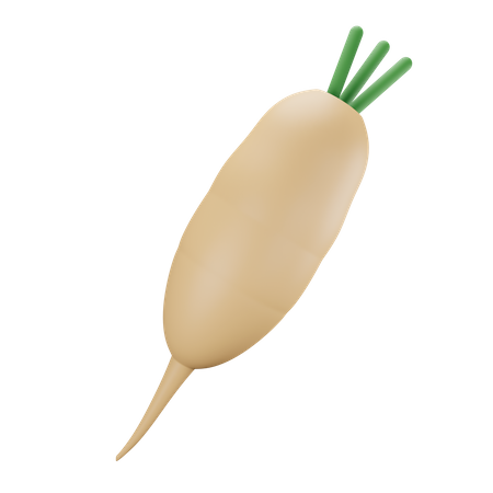 Turnip  3D Illustration