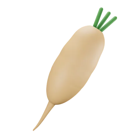 Turnip  3D Illustration