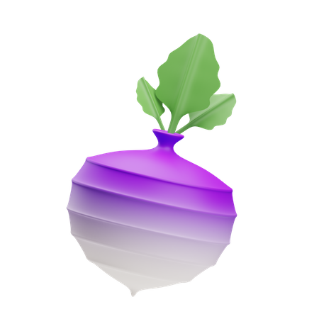 Turnip  3D Illustration