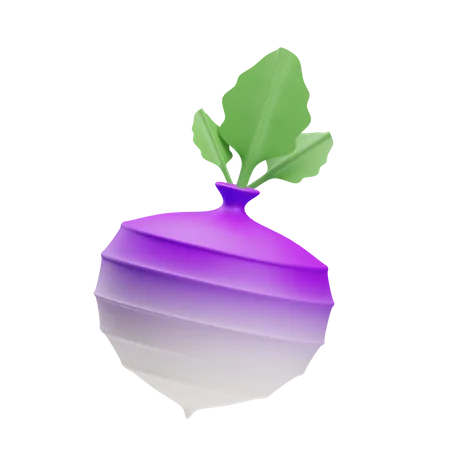 Turnip  3D Illustration