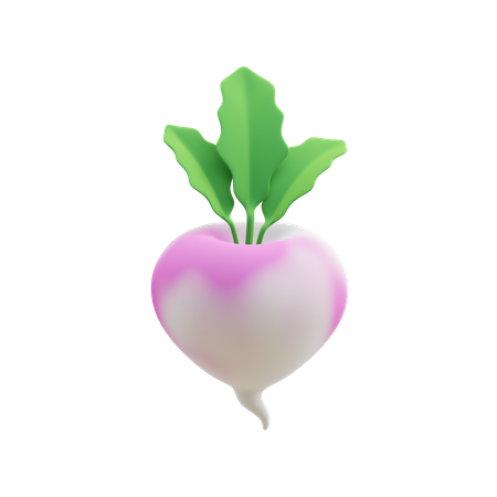 Turnip  3D Illustration