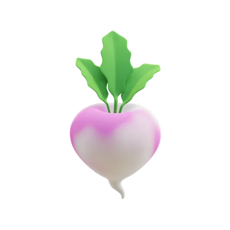 Turnip  3D Illustration