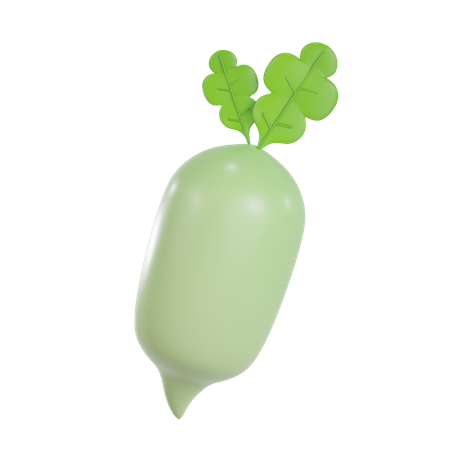 Turnip  3D Illustration