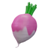 3d turnip vegetable logo