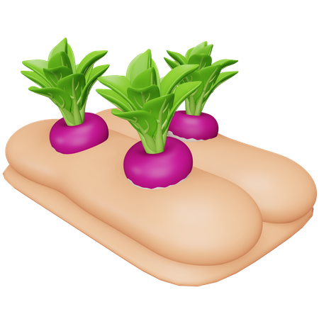 Turnip Farming  3D Icon