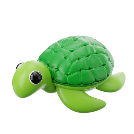Turtle  3D Icon