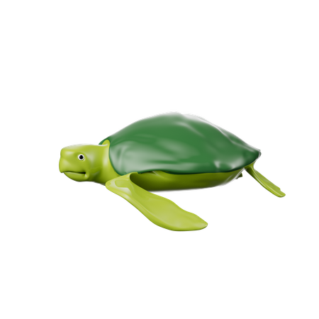 Turtle  3D Icon