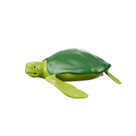 Turtle  3D Icon