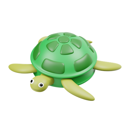 Turtle  3D Icon