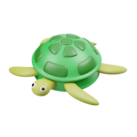 Turtle  3D Icon