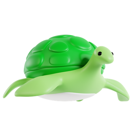 Turtle  3D Icon