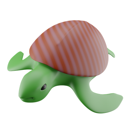 Turtle  3D Icon