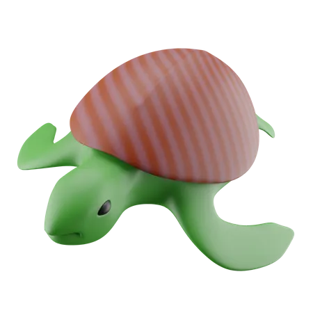 Turtle  3D Icon