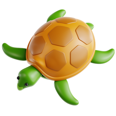 Turtle  3D Icon