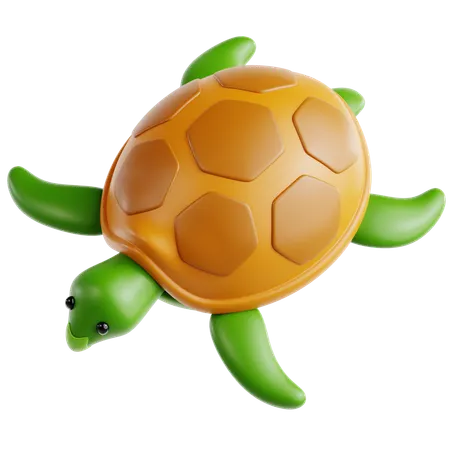 Turtle  3D Icon