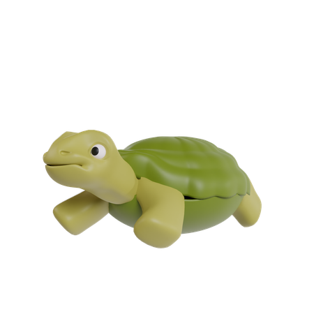 Turtle  3D Icon