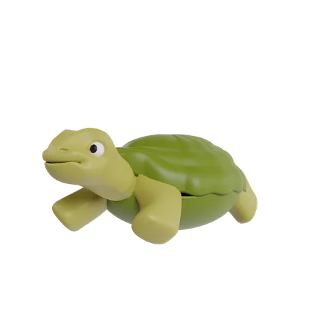 Turtle  3D Icon