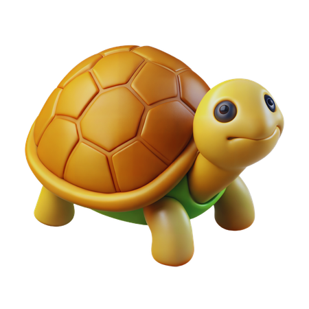 Turtle  3D Icon