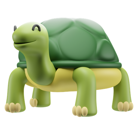 Turtle  3D Illustration