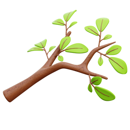 Twigs Leaf  3D Illustration