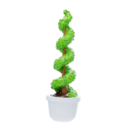 Twisted Spiral Evergreen  3D Icon
