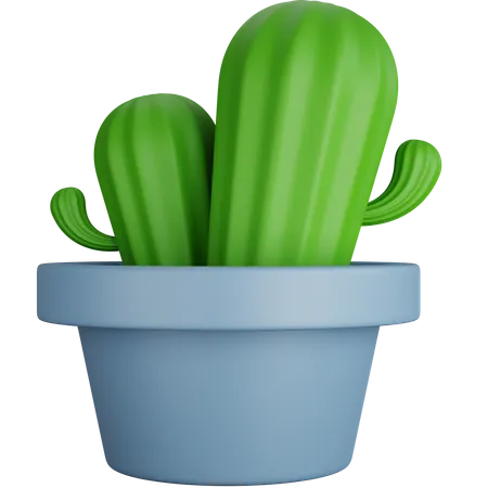 3 D Rendering Two Cactus Trees Isolated 3D Icon