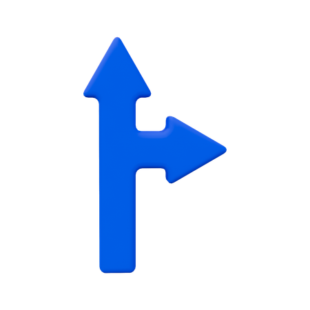 Two Direction Arrow  3D Icon