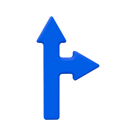 Two Direction Arrow  3D Icon