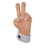 Two Finger Gesture