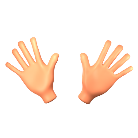 Two open hands gesture  3D Icon