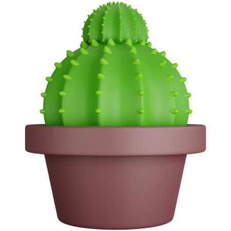 Two Round Cactus 3D Icon