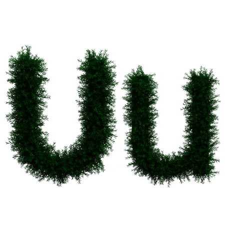 U  3D Illustration