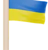 Ukraine Flag