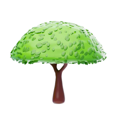 Umbrella Shaped Foliage  3D Icon