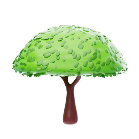 Umbrella Shaped Foliage  3D Icon