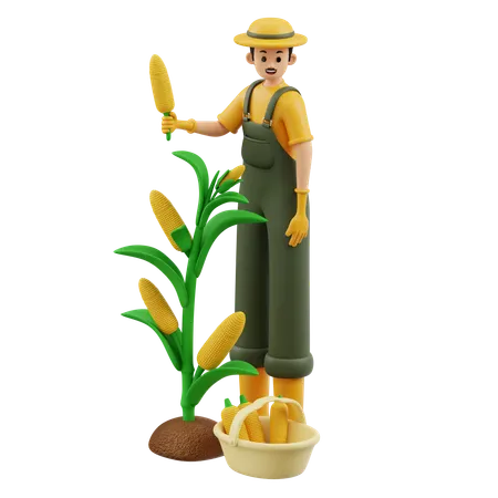 Un agriculteur récolte du maïs  3D Illustration