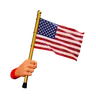 United States of America Flag