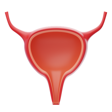 Urinary  3D Icon