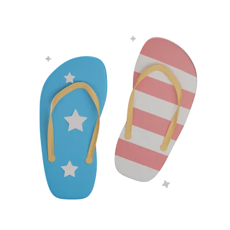 Usa Slippers  3D Illustration