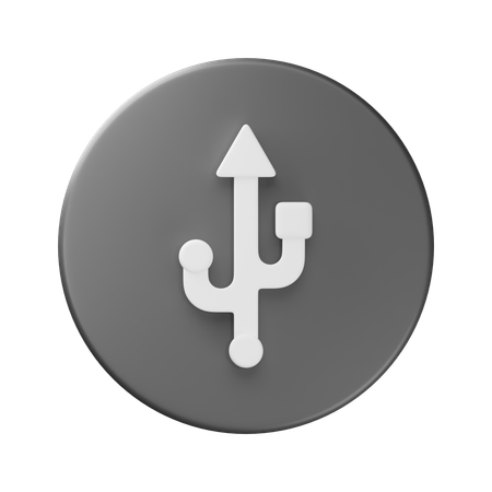 USB  3D Icon