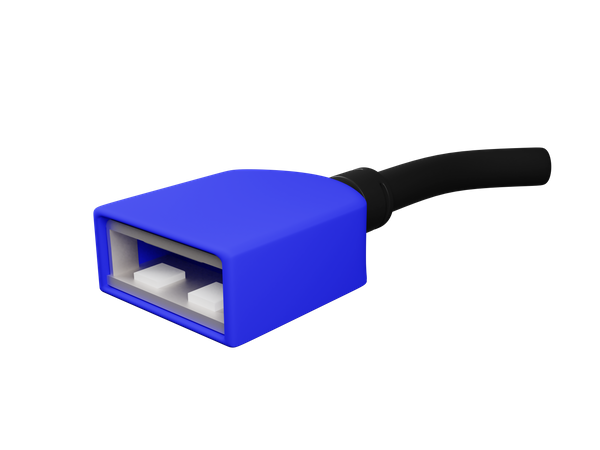 Fêmea usb  3D Illustration