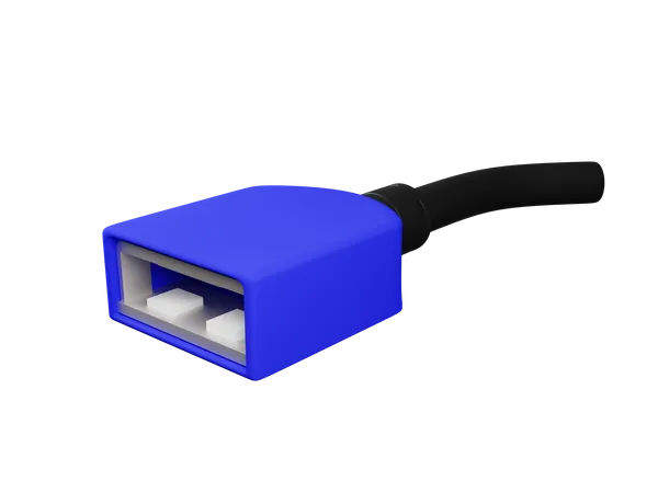 Fêmea usb  3D Illustration