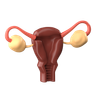 3d uterus emoji