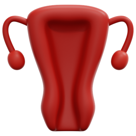 Uterus  3D Icon