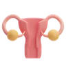 Uterus