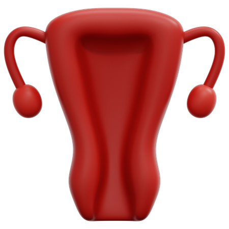 Uterus  3D Icon